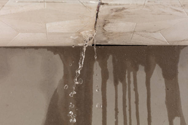 Professional Water Damage Inspection technician working in Gretna, VA